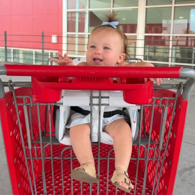 LittleNest Comfort Seat — Portable Baby Seat Insert