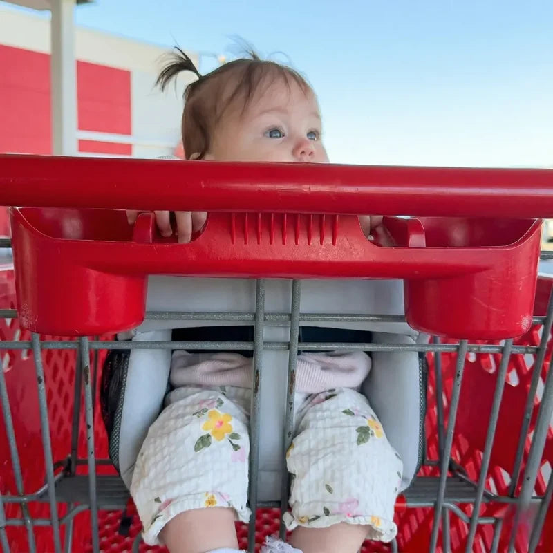 LittleNest Comfort Seat — Portable Baby Seat Insert