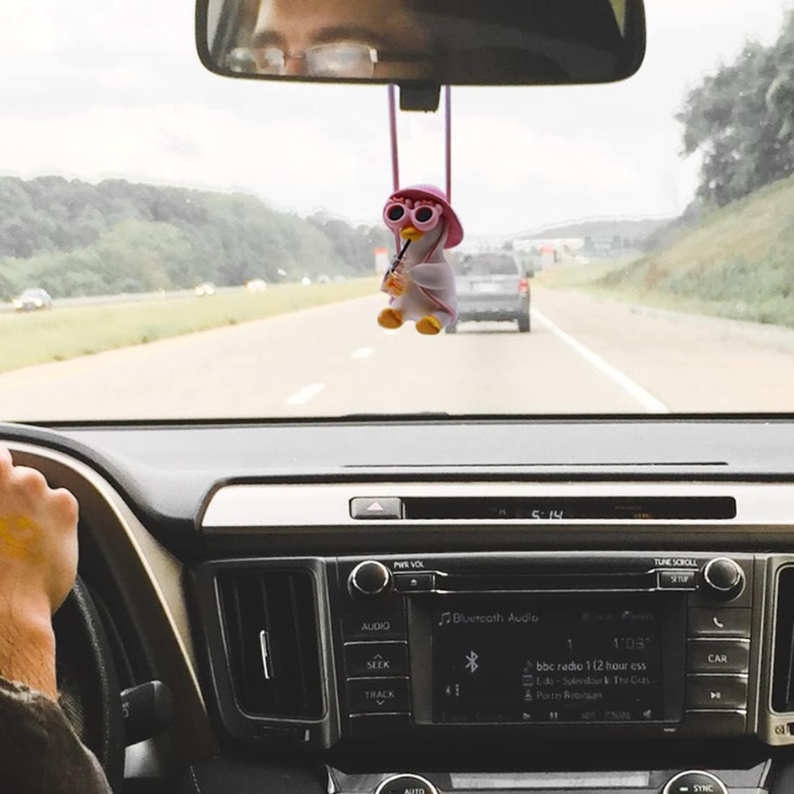 Cool Swinging Duck — Car Hanging Ornament