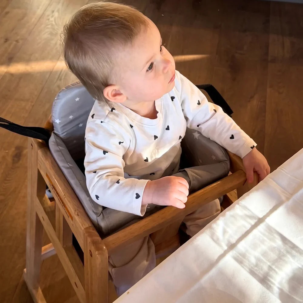 LittleNest Comfort Seat — Portable Baby Seat Insert